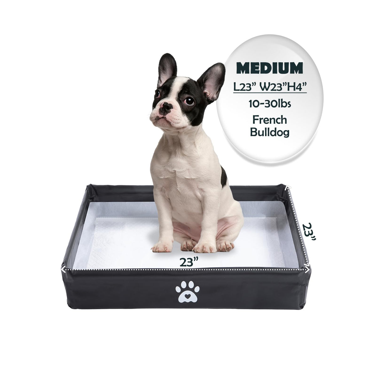 MEEXPAWS support-tapis-pliable: rangement rapide après l'entraînement.