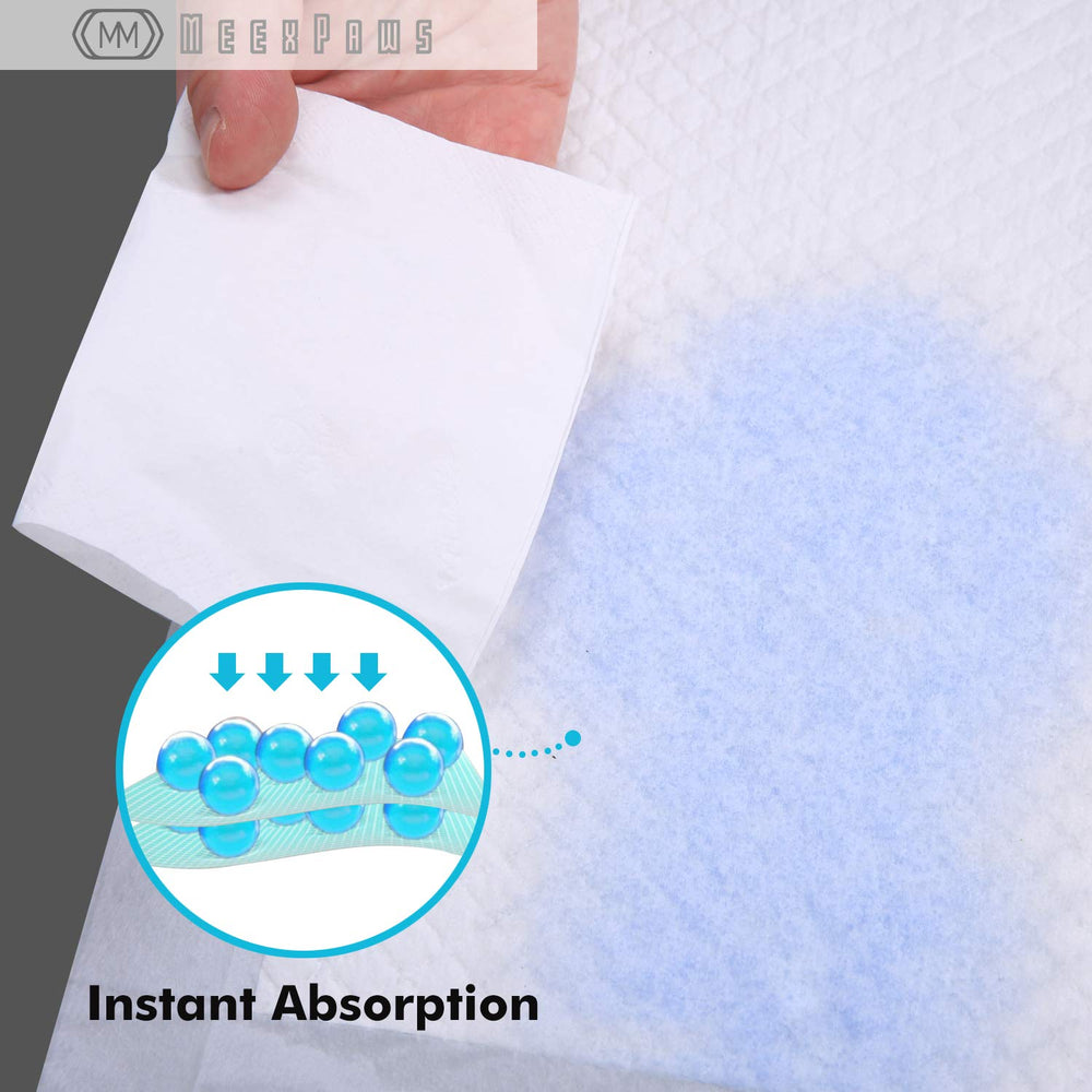 MEEXPAWS Tapis absorbant instantané pour entraînement et propreté.