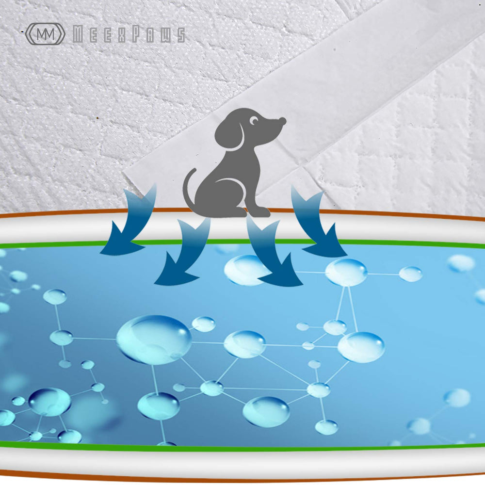 MEEXPAWS Tapis usage dans la toilette pour chiens, facilité quotidienne.