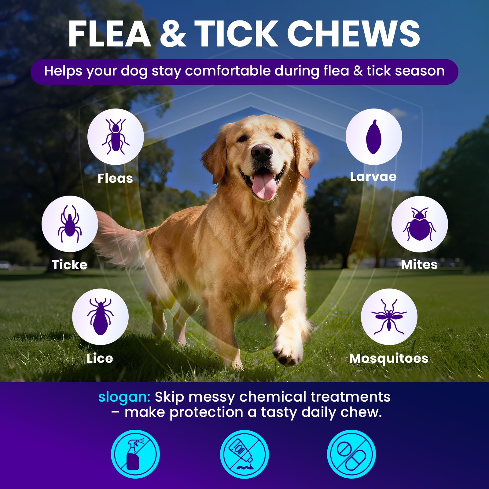 MegPets Nutrition – soutien digestion pour chiens, confort quotidien.