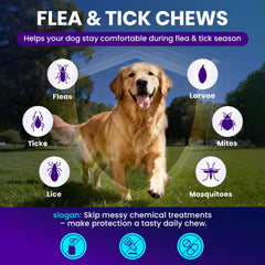 MegPets Nutrition – soutien digestion pour chiens, confort quotidien.