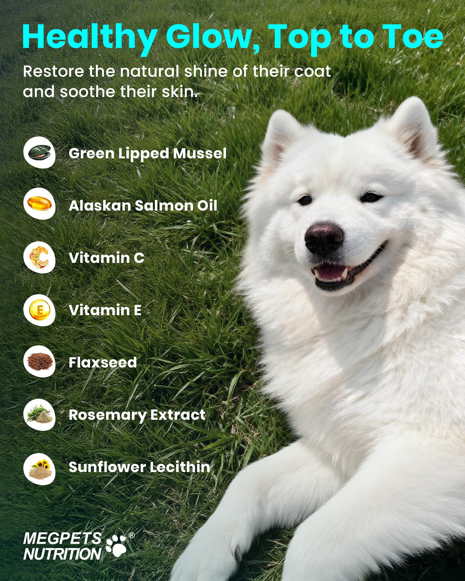 MEGPETS NUTRITION NAD+ oméga-3 saumon Alaska peau pelage