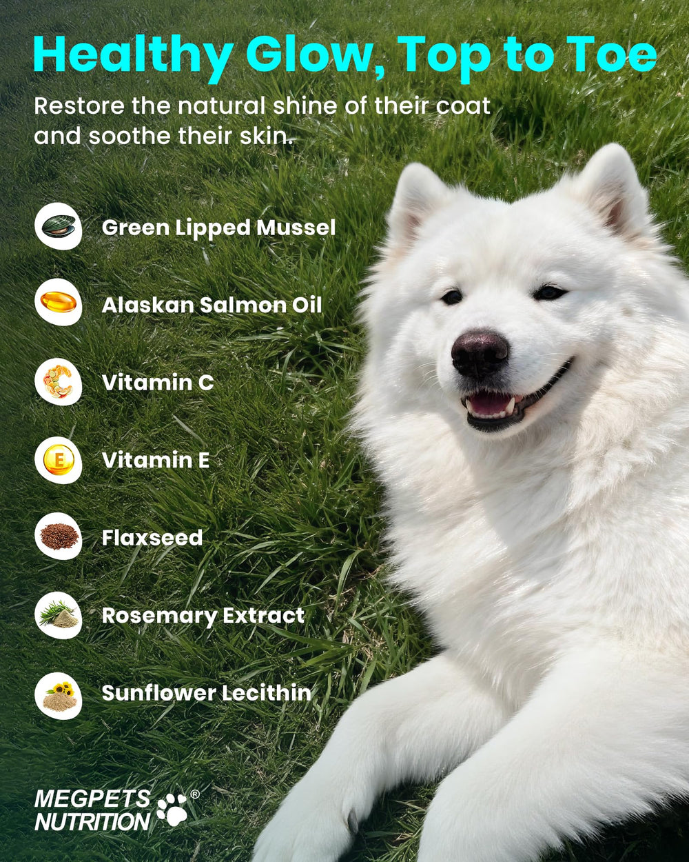 MEGPETS NUTRITION NAD+ oméga-3 saumon Alaska peau pelage