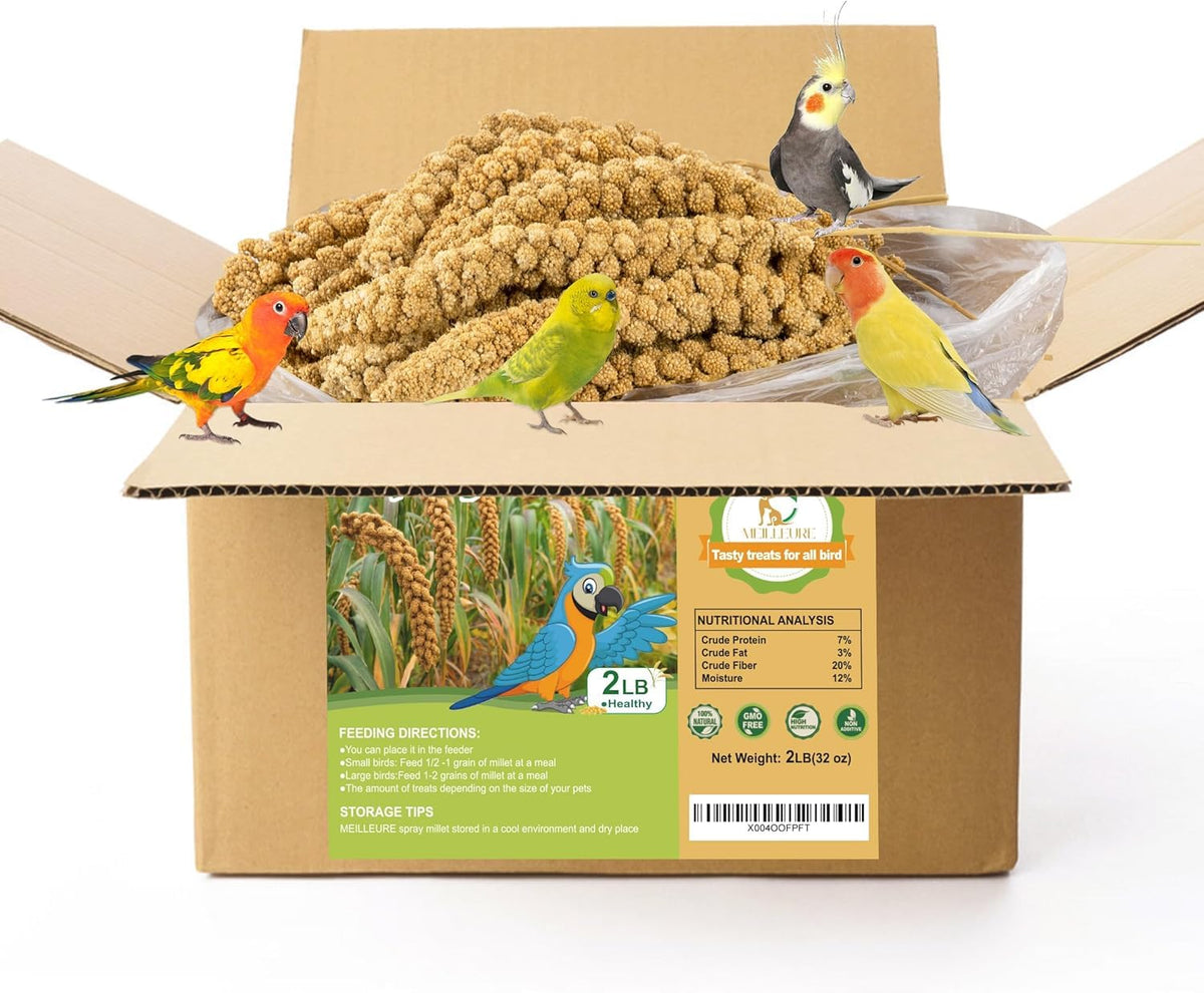 MEILLEURE millet-en-spray-emballage : présentation pratique pour démarrer l'alimentation des oiseaux.