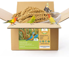 MEILLEURE millet-en-spray-emballage : présentation pratique pour démarrer l'alimentation des oiseaux.