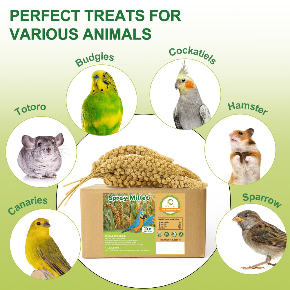 MEILLEURE millet-en-spray-usage-sans-additifs : millet pur sans additifs artificiels.