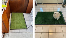Meizhuang remplacements herbe potty 2-pack, solution pratique pour l'entretien.