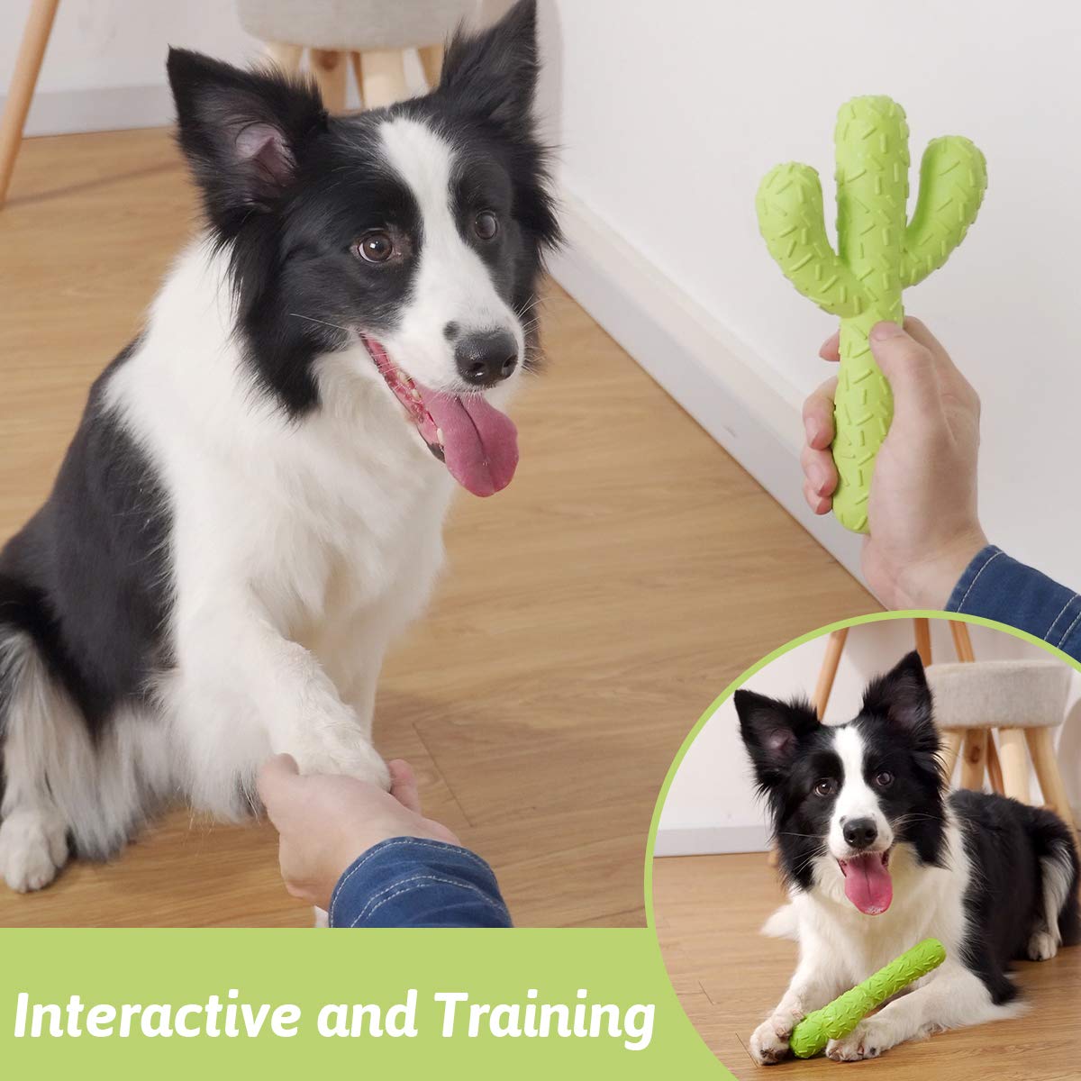 MewaJump entraînement: parfait pour chiens moyens et grands.