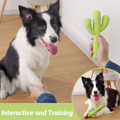 MewaJump entraînement: parfait pour chiens moyens et grands.