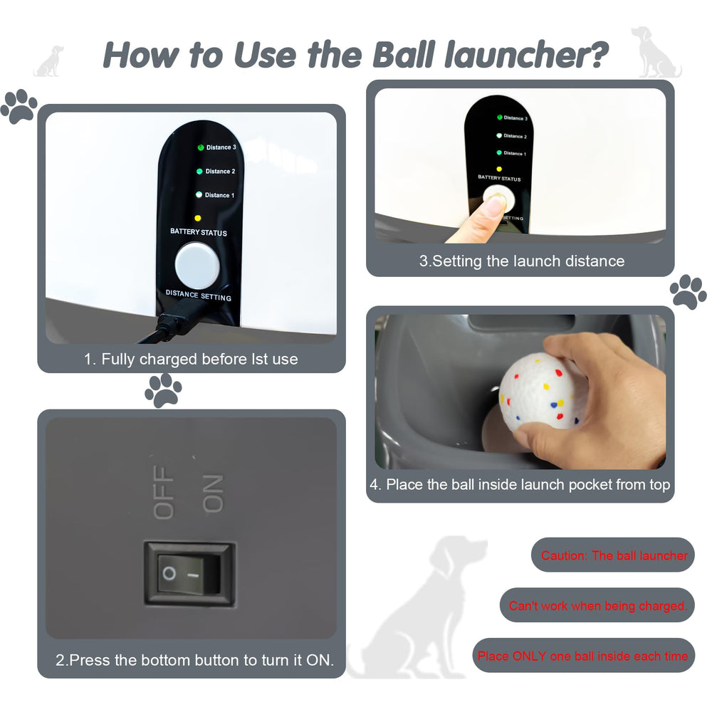 Mode aléatoire du lancer pour stimuler l’instinct de poursuite.