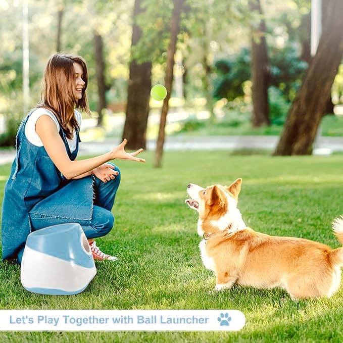 MEKAPLE utilisation intérieure et extérieure adaptée aux petits chiens.
