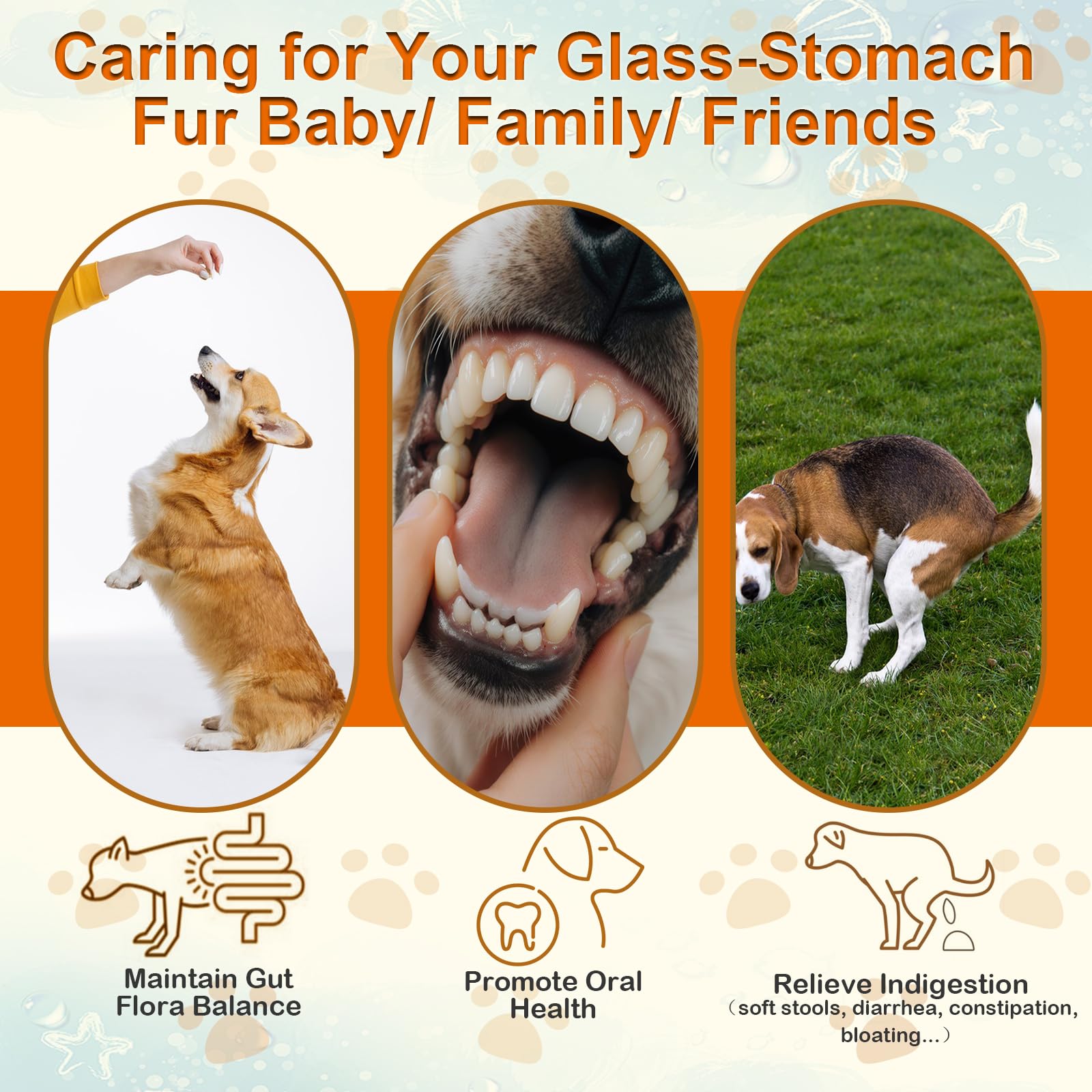 Mekseks bouchées probiotiques pour chien, enzymes digestives incluses pour faciliter la digestion.