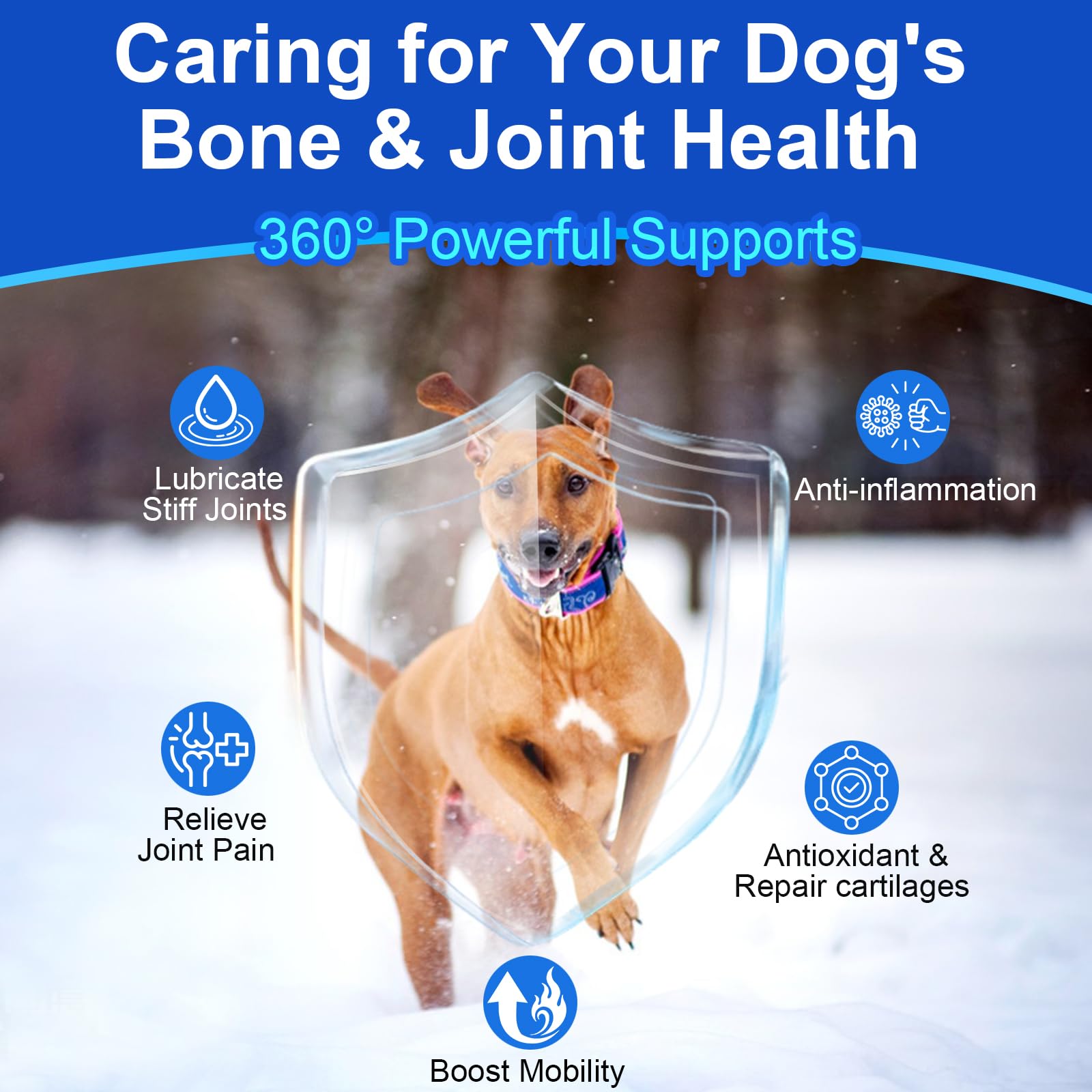 Mekseks glucosamine-chondroitine pour chien, confort articulaire et mobilité.