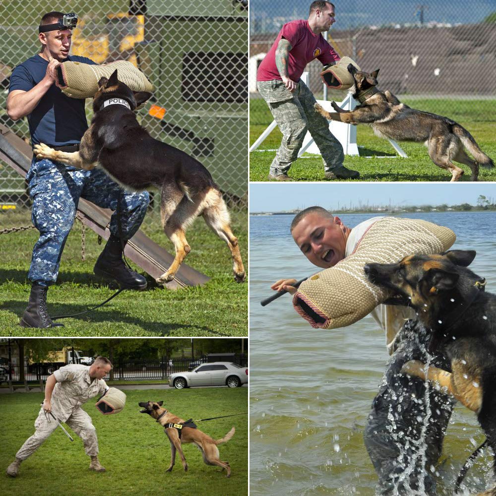 MelkTemn utilisation-securite-dressage : sessions encadrées, sécurité et progression maîtrisée