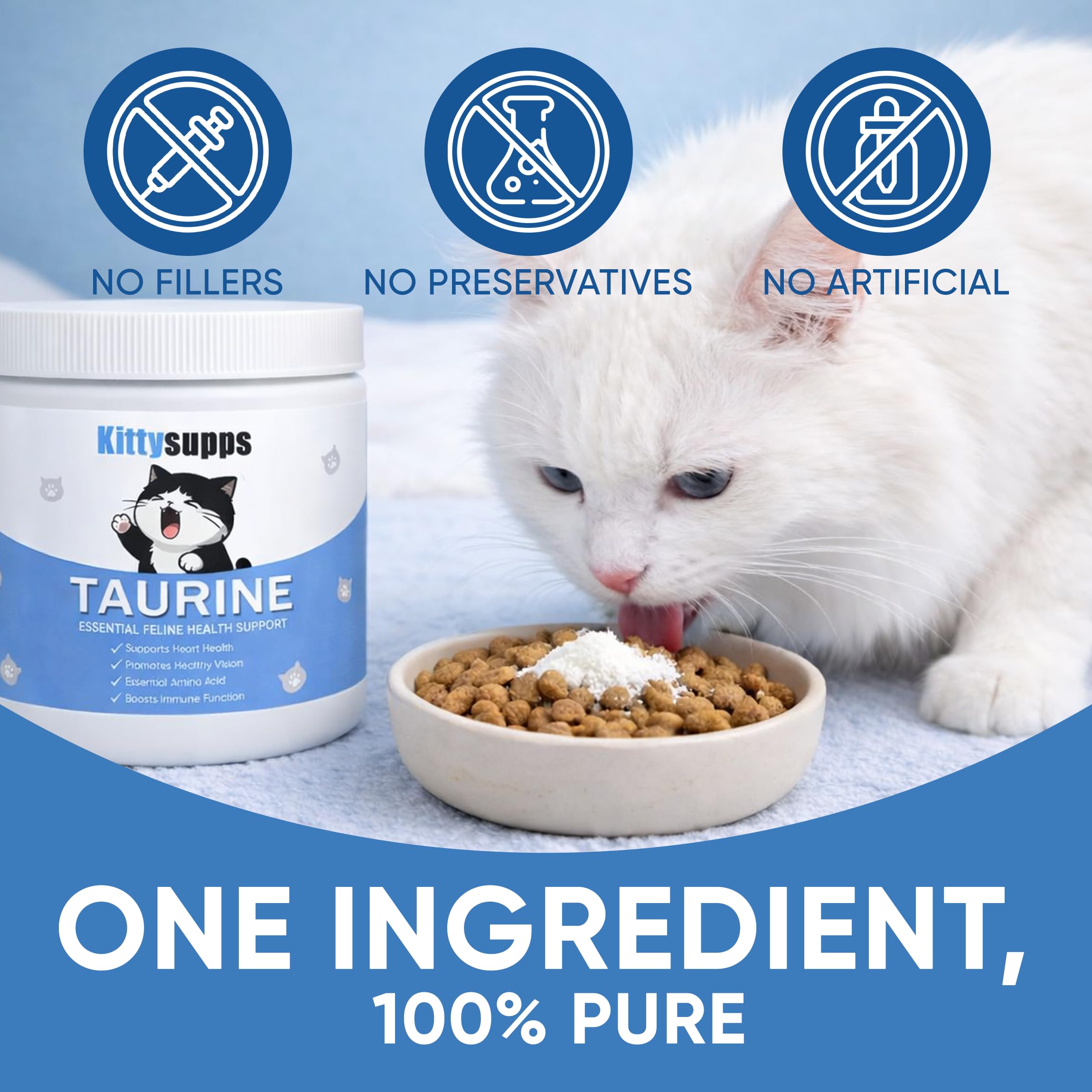 MEMOCORE Kittysupps Taurine pour chats – énergie soutenue pour les jeux quotidiens