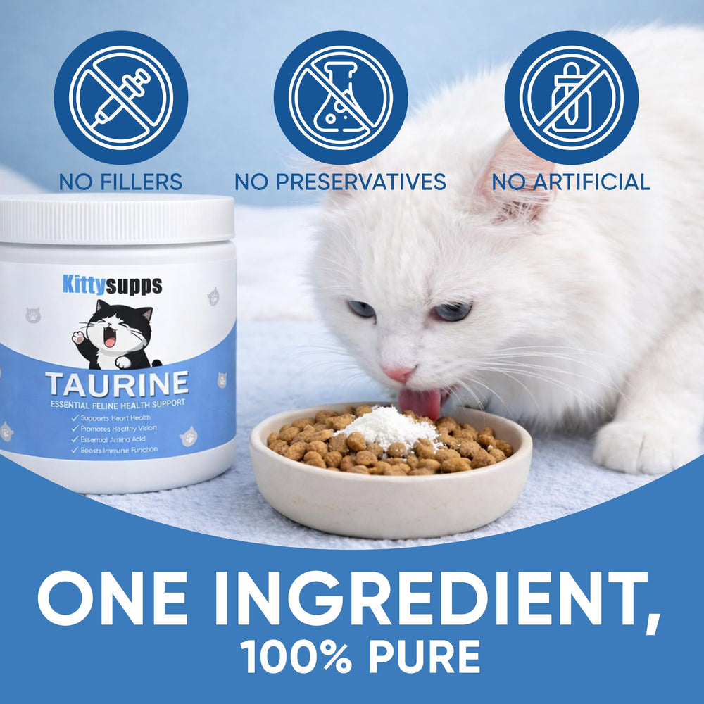 MEMOCORE Kittysupps Taurine pour chats – énergie soutenue pour les jeux quotidiens