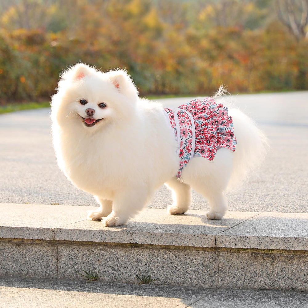 Mengelina couche-chien-femelle taille-ajustable: ajustement personnalisé selon le tour de taille.