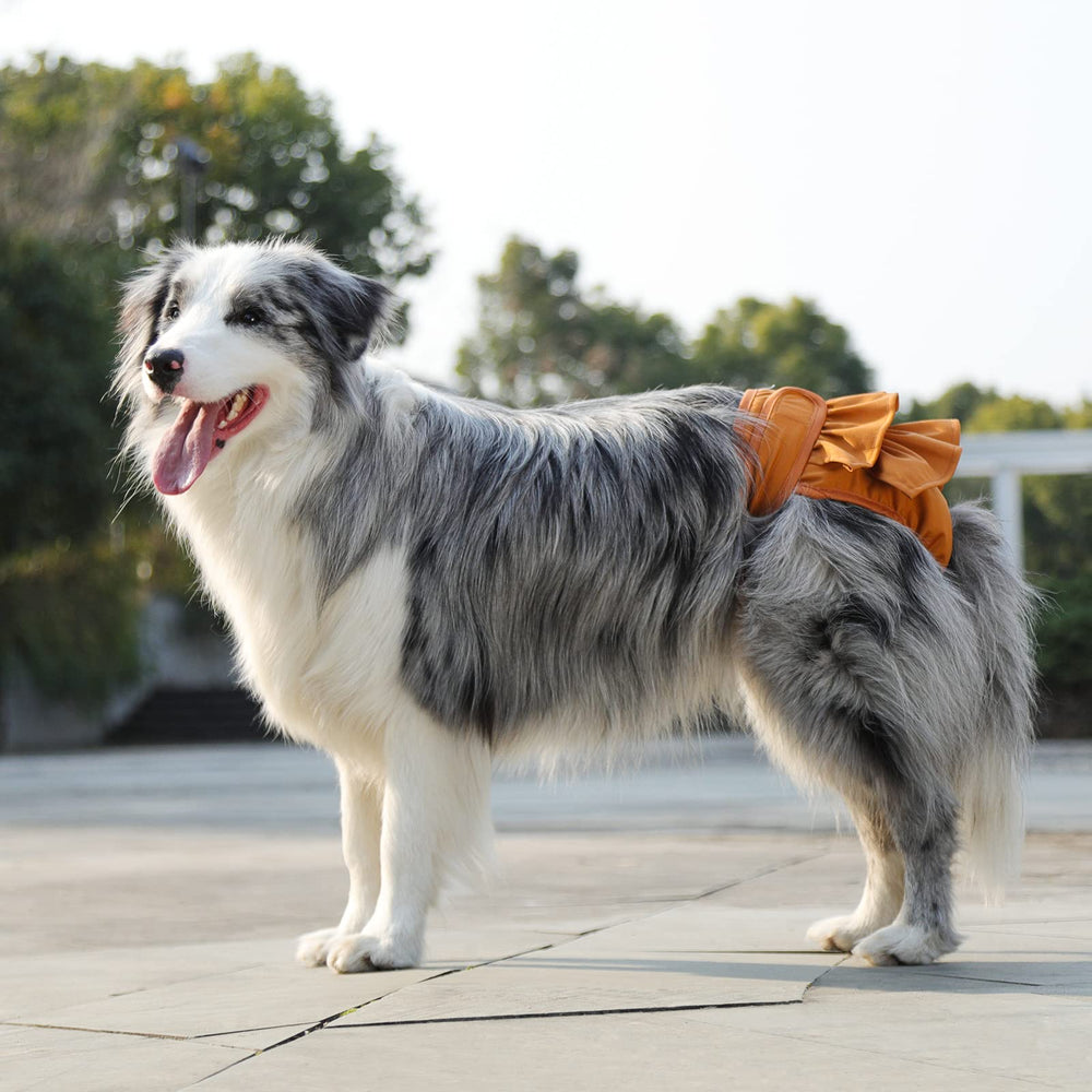 Mengelina couches confort femelles pour chiens, absorption fiable.