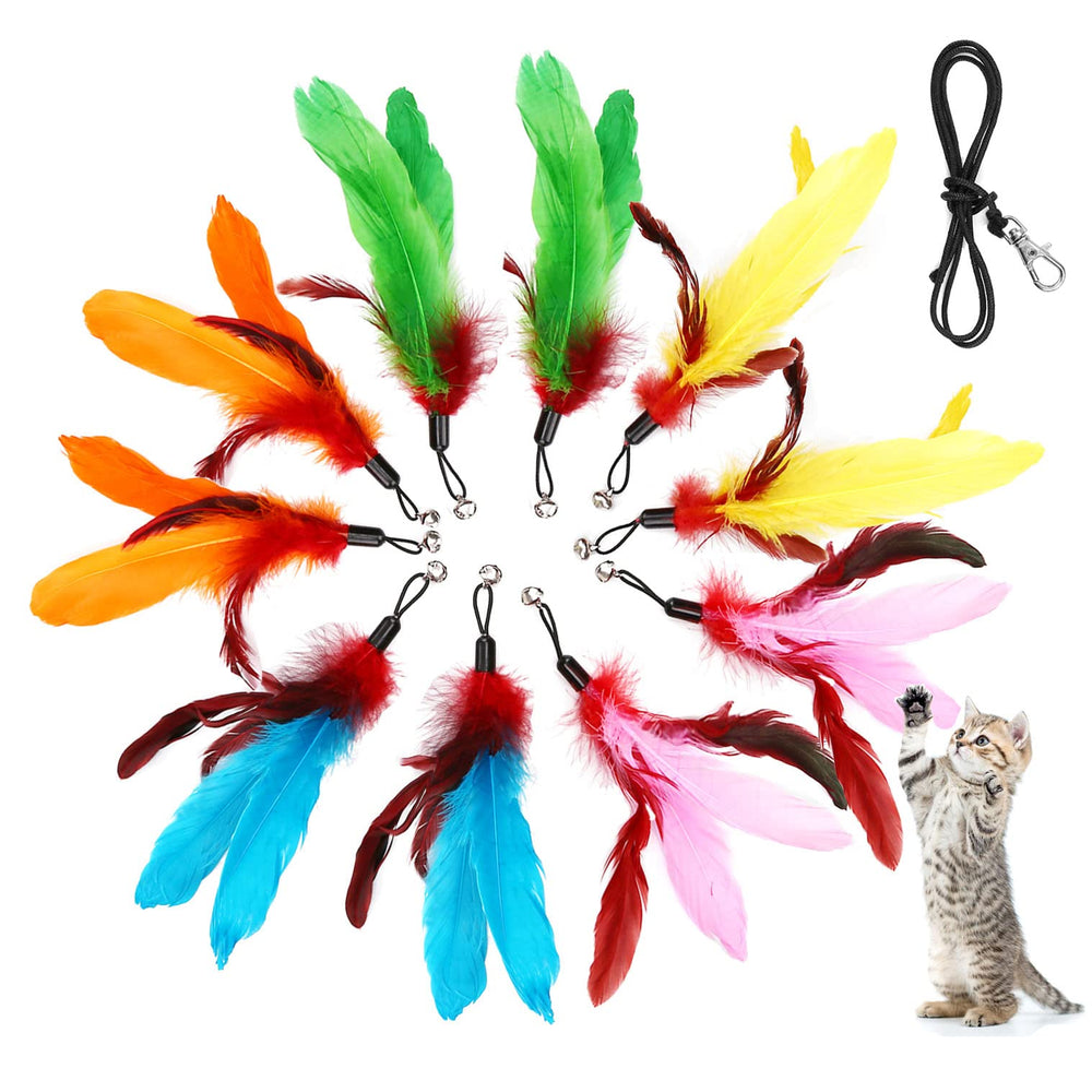MeoHui 11 pièces plumes pour chat – stimule l'instinct de chasse et l'amusement.