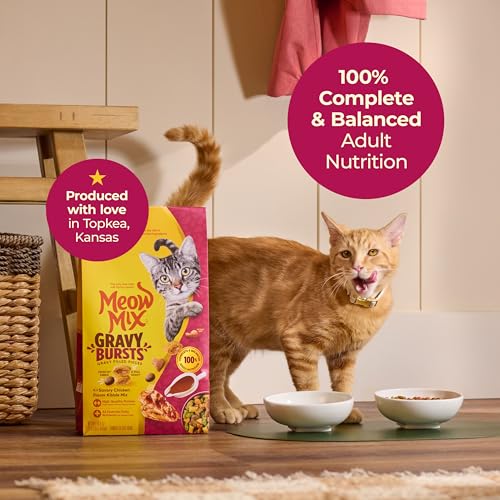 Meow Mix Gravy Bursts bol chat montrant un repas complet