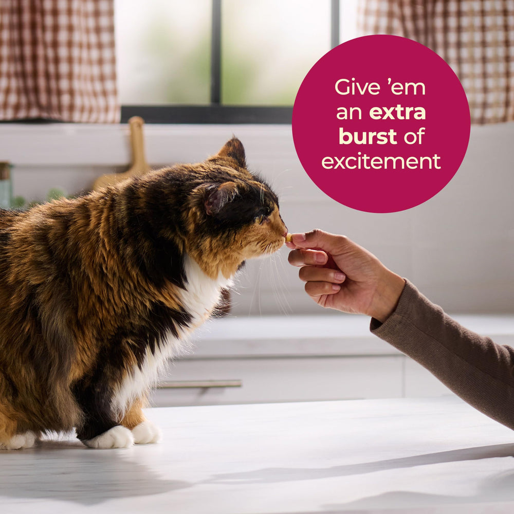 Meow Mix Gravy Bursts : taurine et oméga-6 inclus, bénéfice potentiel pour peau et vitalité.