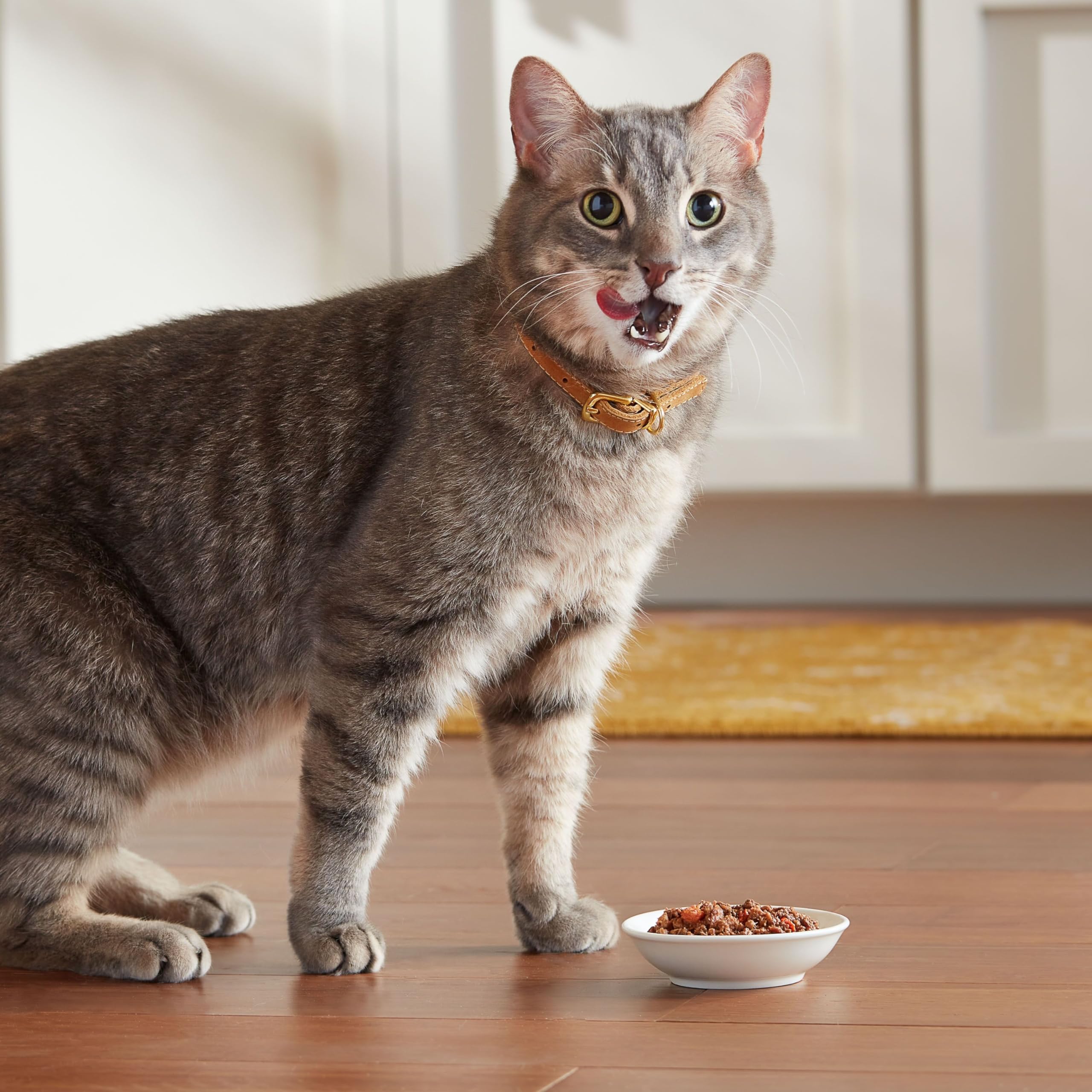 Pack douze cups Meow Mix Tenders en Sauce, approvisionnement pratique