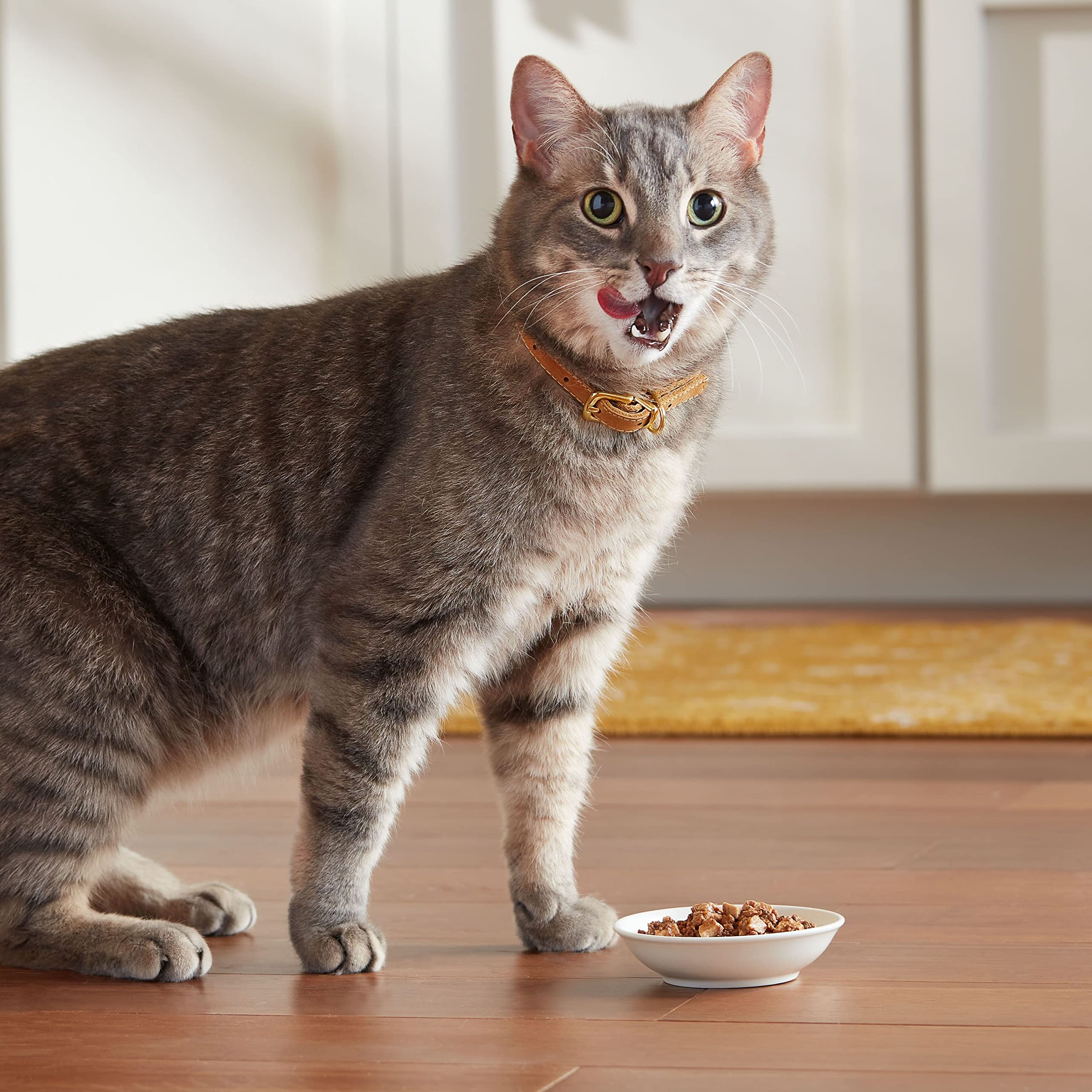 Abats et dinde Meow Mix offrent un plat équilibré pour chats.