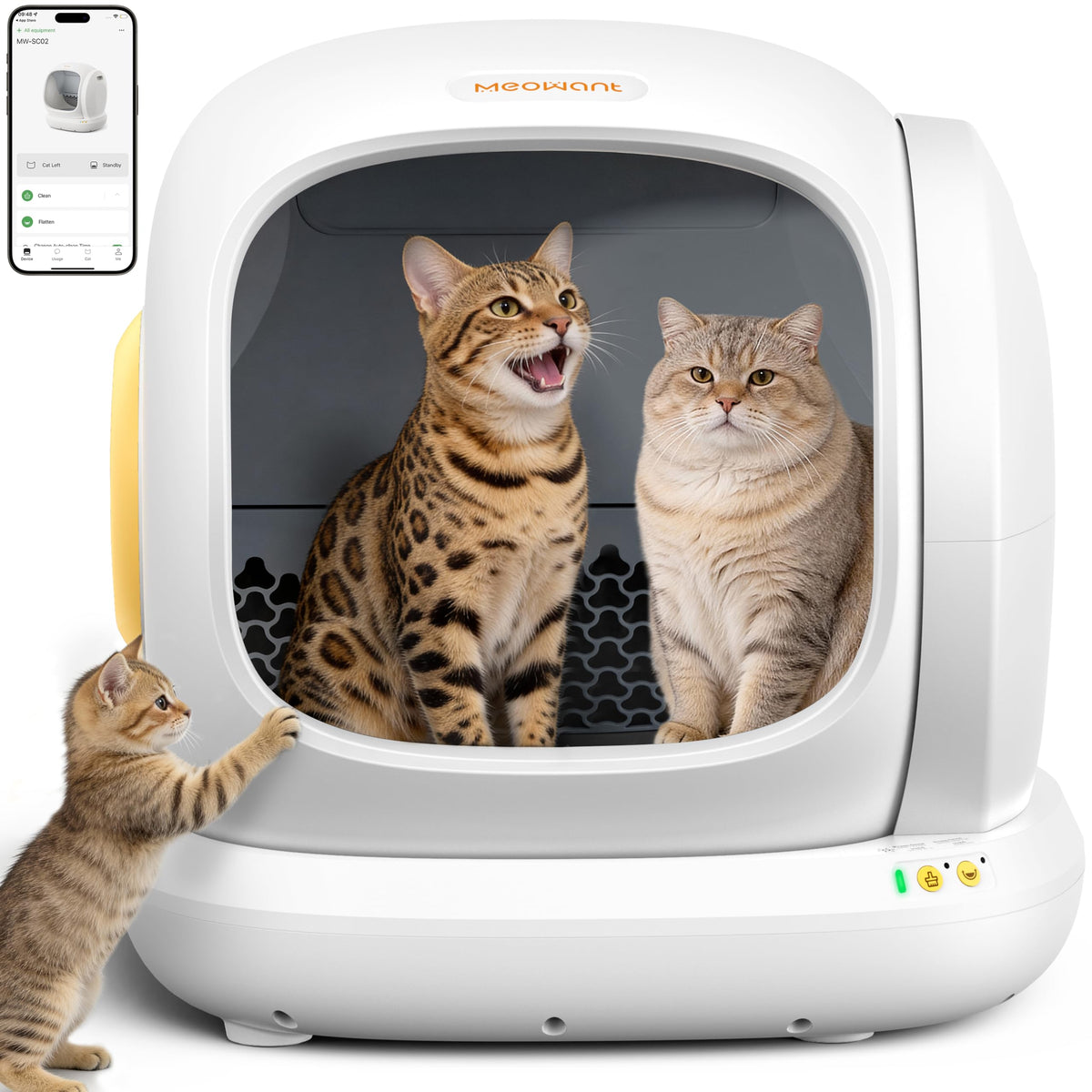 Meowant bac à litière autonettoyant 75L – accès ouvert et spacieux