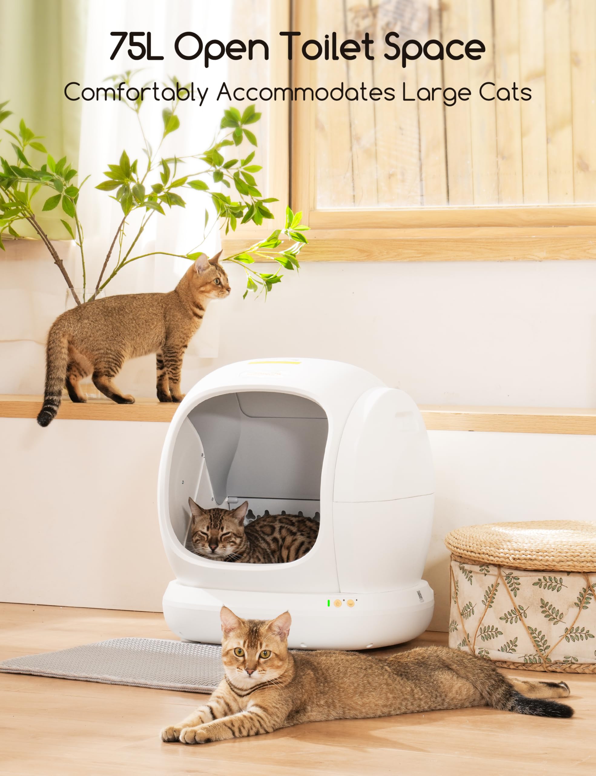 Meowant sécurité anti pince et capteurs – sécurité accrue pour les chats