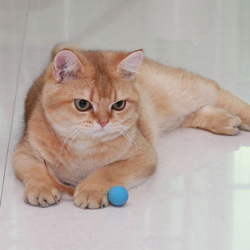 MeowAroma: balle de diamètre un pouce, facile à transporter.