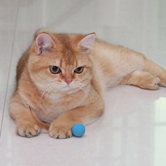 MeowAroma: balle de diamètre un pouce, facile à transporter.