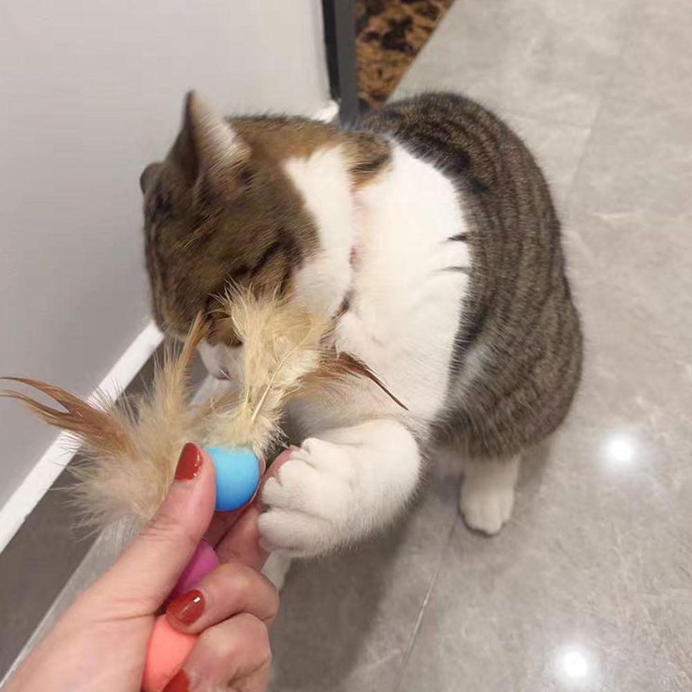 MeowAroma: balle résistante en caoutchouc pour jeux sur surfaces durs.