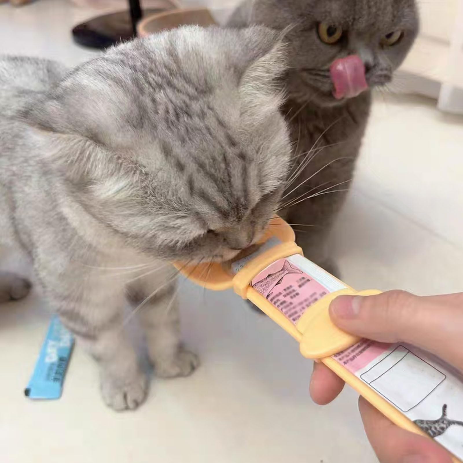 MeowAroma outil convivial renforçant le lien lors du rituel de repas