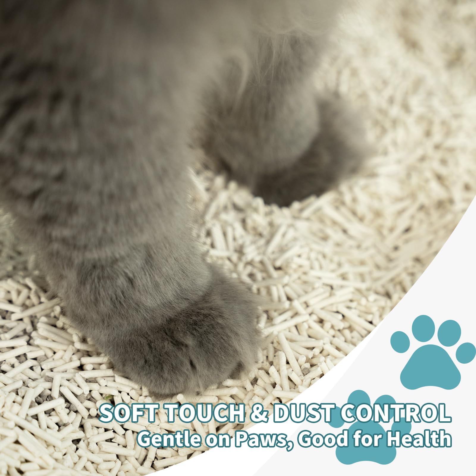 Meowgic Paws litière tofu 80-20 avec carbone activé, absorption et odeur.
