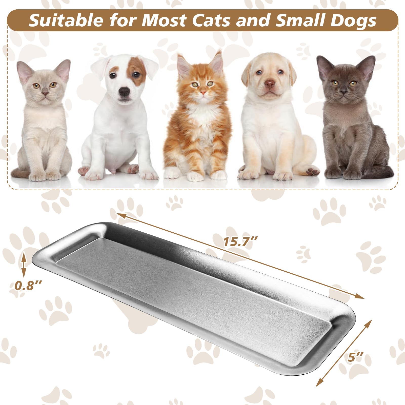 Bol Meowgod adapté pour chats et petits animaux