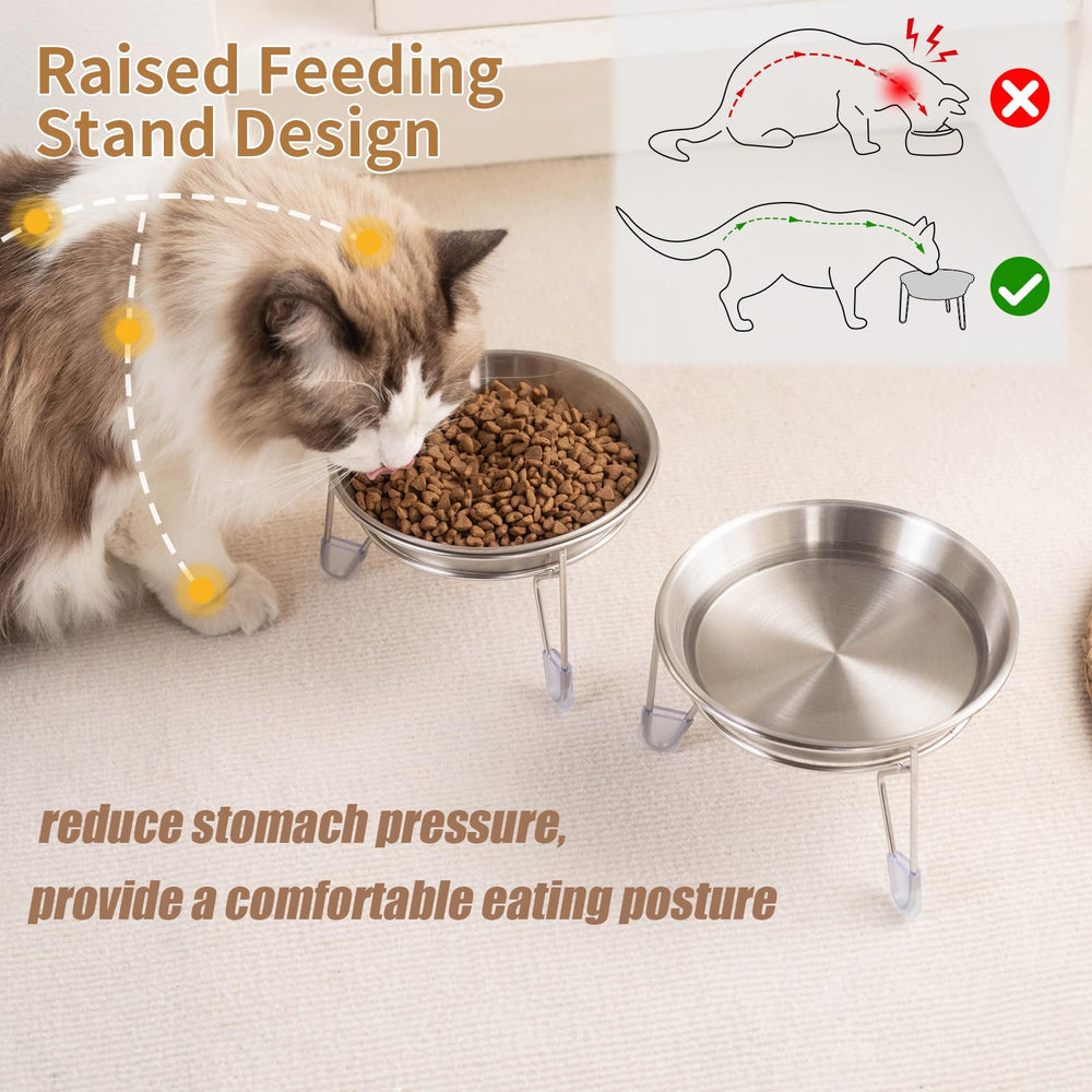 Meowgod bol inox 15oz grande capacité pour chats et chiens