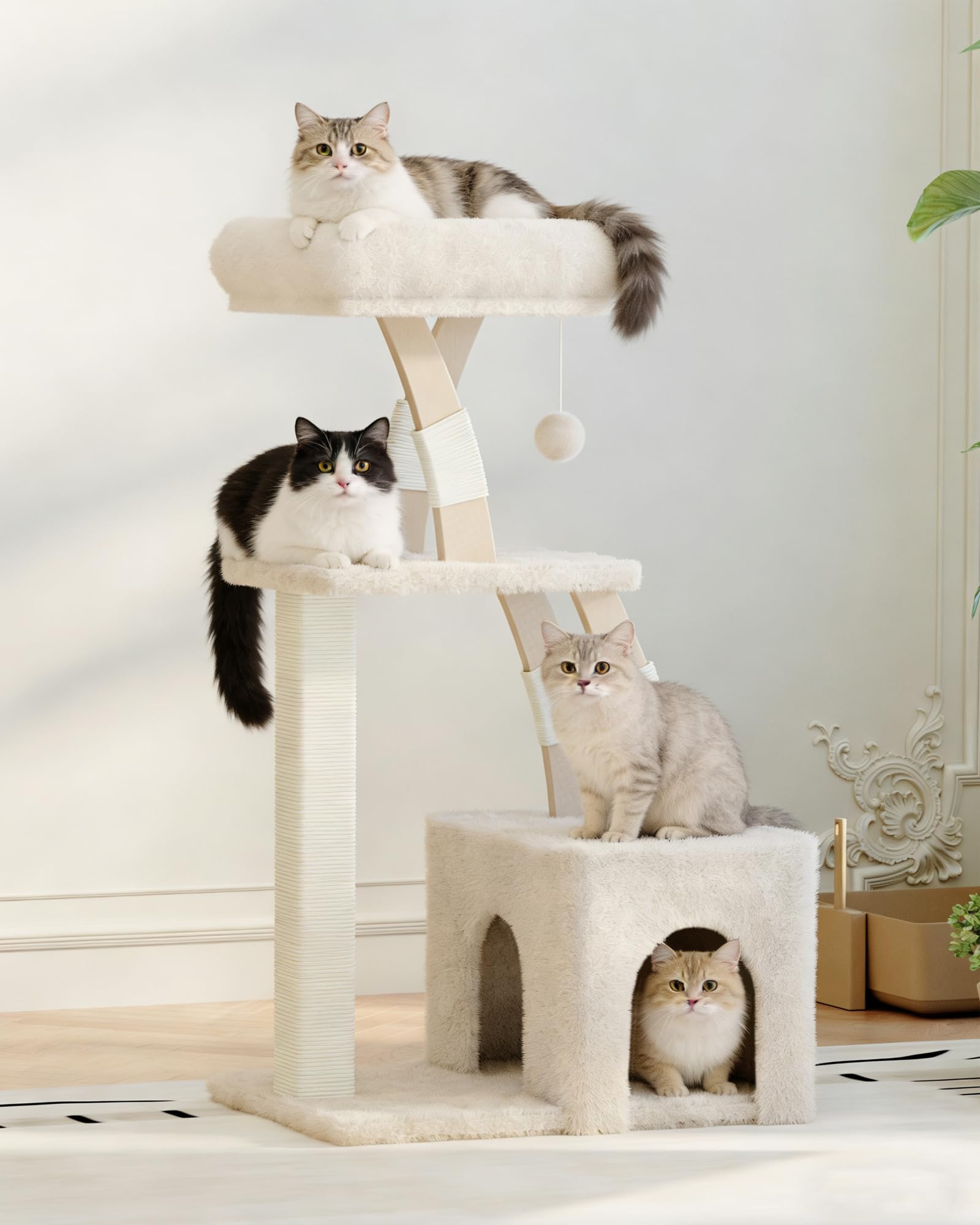 MeowHomm condo chat doux, espace privé pour siestes et observation.