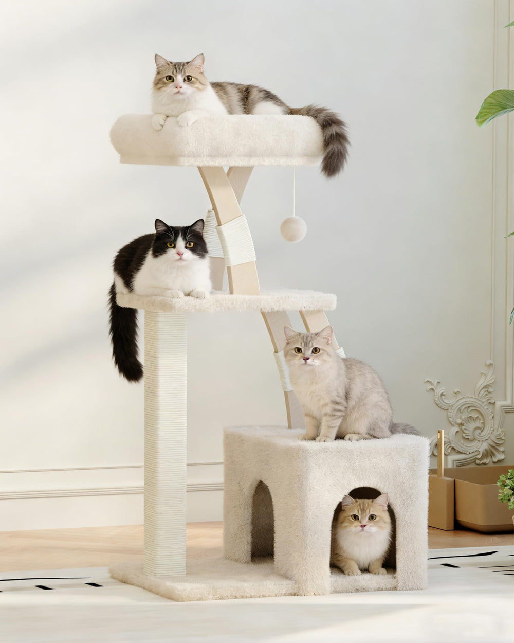 MeowHomm condo chat doux, espace privé pour siestes et observation.