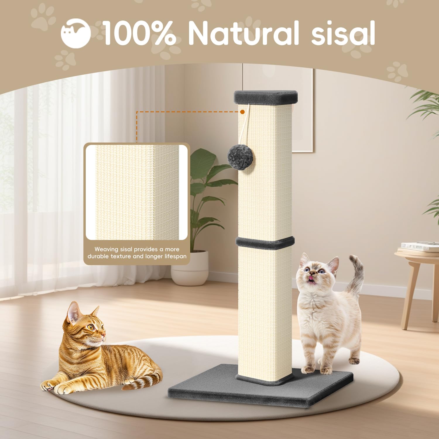 MeowHomm Griffoir Base Panneau Durable: stabilité renforcée contre les chats lourds.