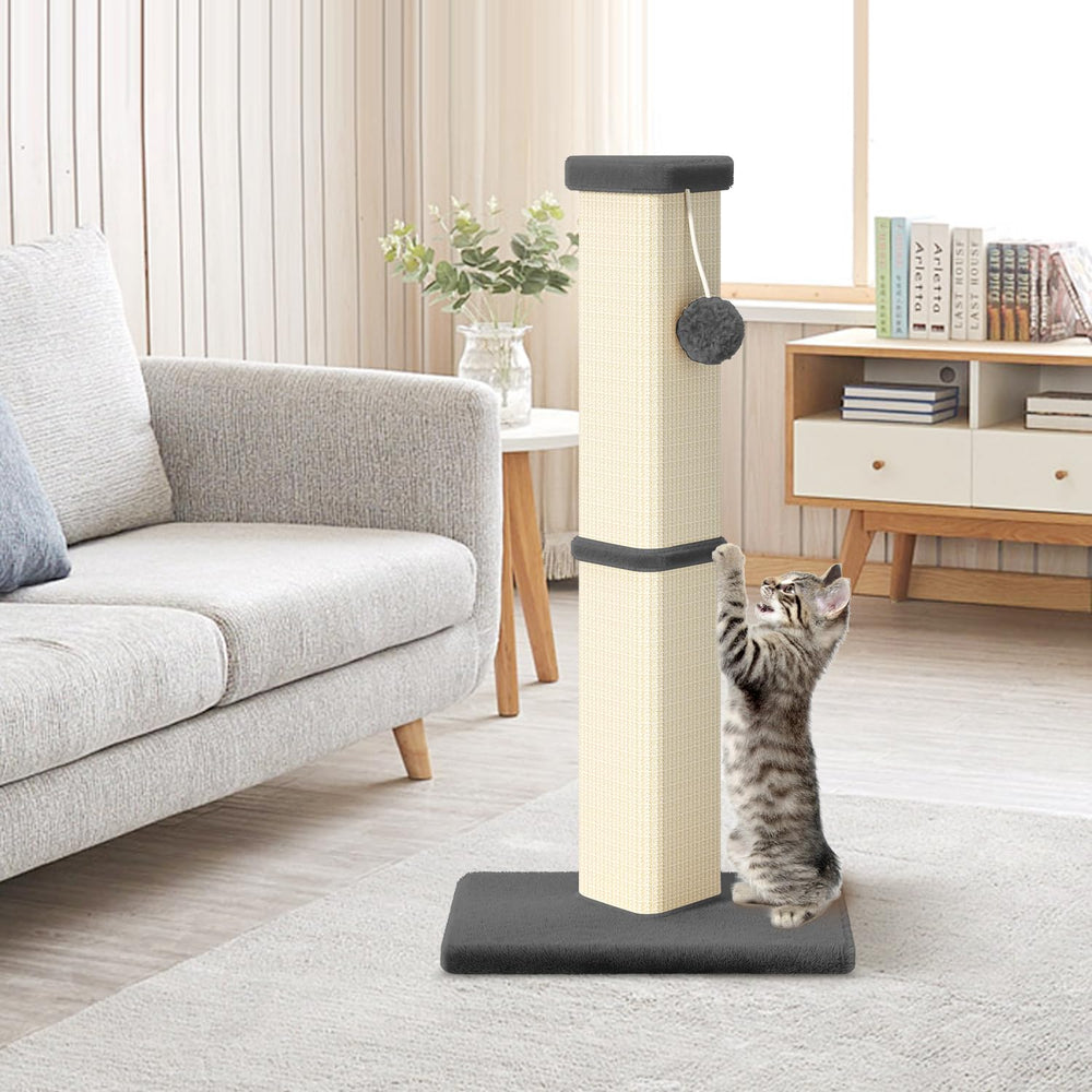 MeowHomm Griffoir Boule Intérieure: stimulation naturelle sans endommager le mobilier.