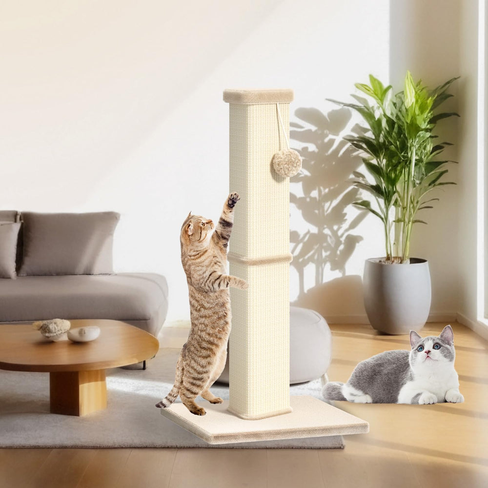 MeowHomm griffoir utilisation près escalier, parfait pour espaces restreints