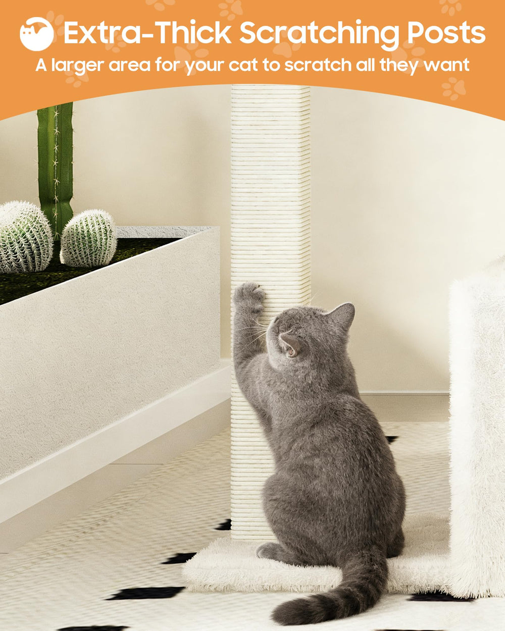 MeowHomm plateau-perchoir confortable, parfait pour des siestes et observation.