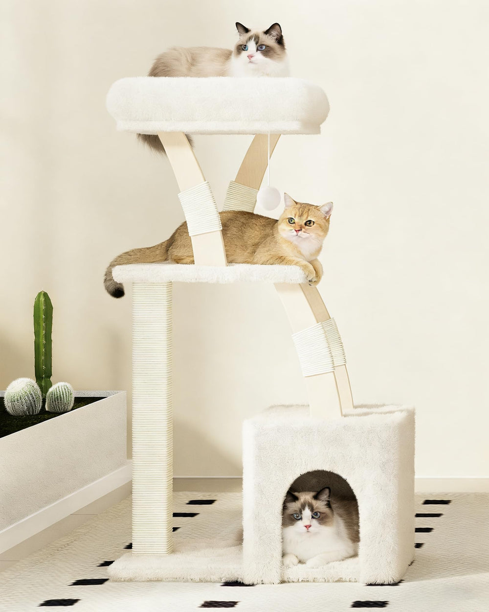 MeowHomm structure adaptée aux grands chats et chatons actifs.