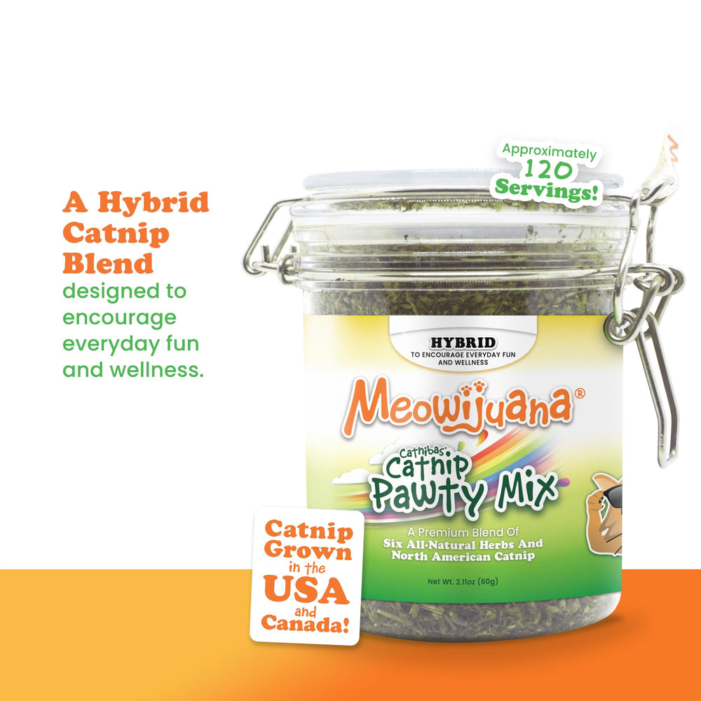 Jar ouvert Meowijuana Catnibas Pawty Mix prêt à saupoudrer.