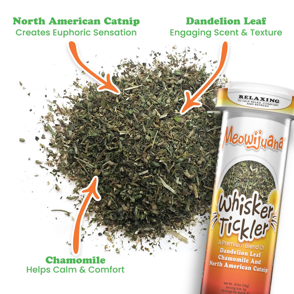 Meowijuana Catnip texture fine: texture douce pour une application facile.