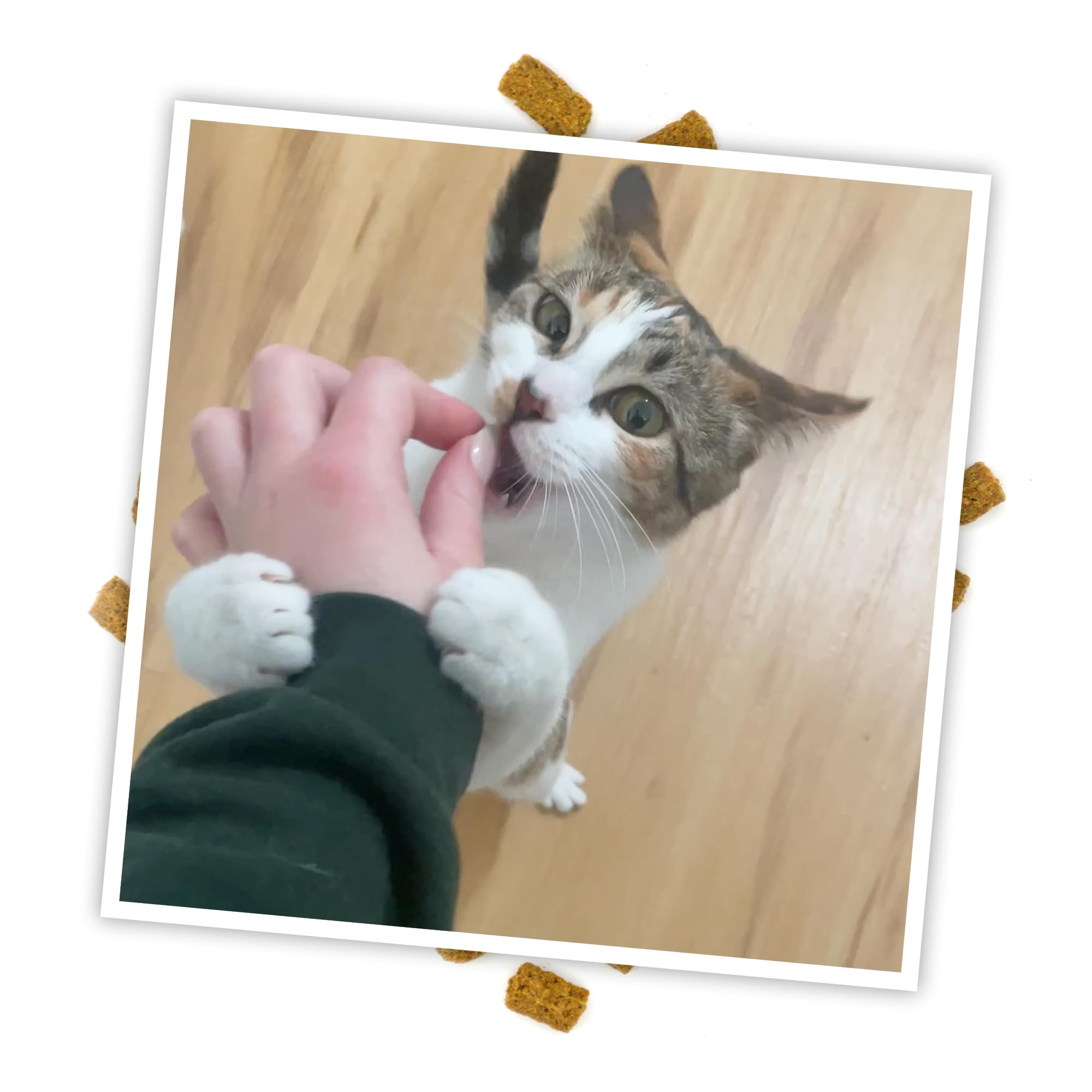 Meowijuana Crunchie Munchies herbe à chat – parfum stimulant les sens