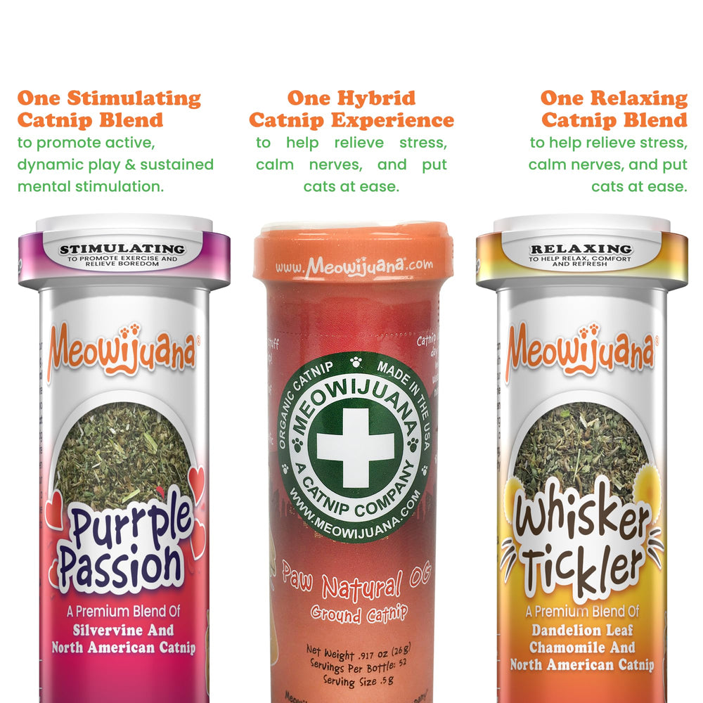Meowijuana Purrple Passion: bouteille aromatique pour l’énergie ludique.