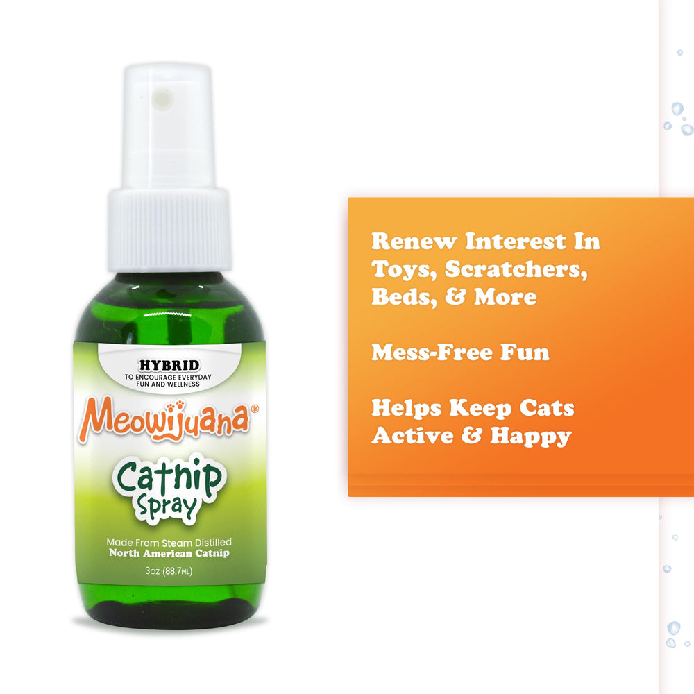 Meowijuana vaporisateur sur lit-chat pour relaxation et jeu.