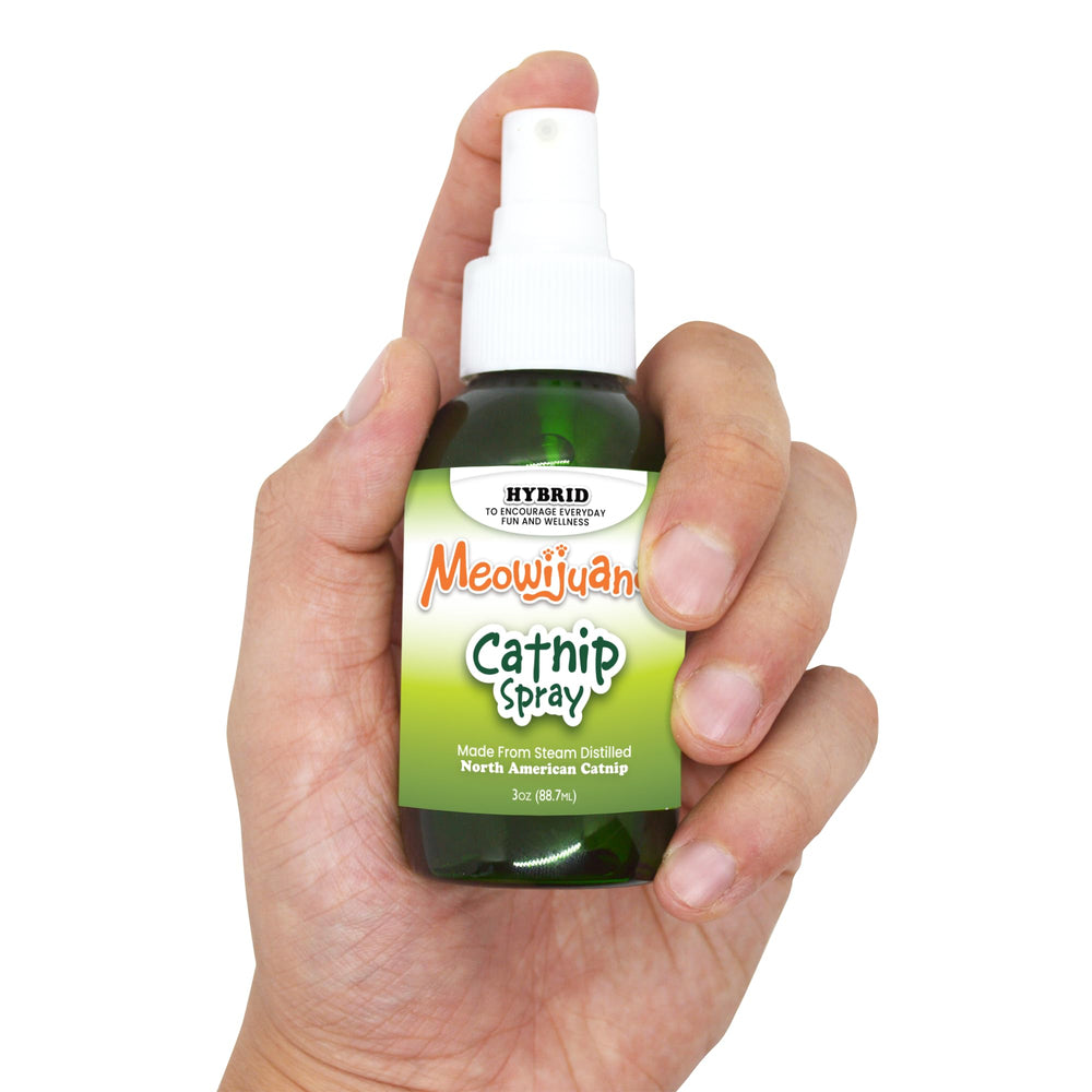 Meowijuana vaporisateur pour chaton et chat adulte pour activité physique.