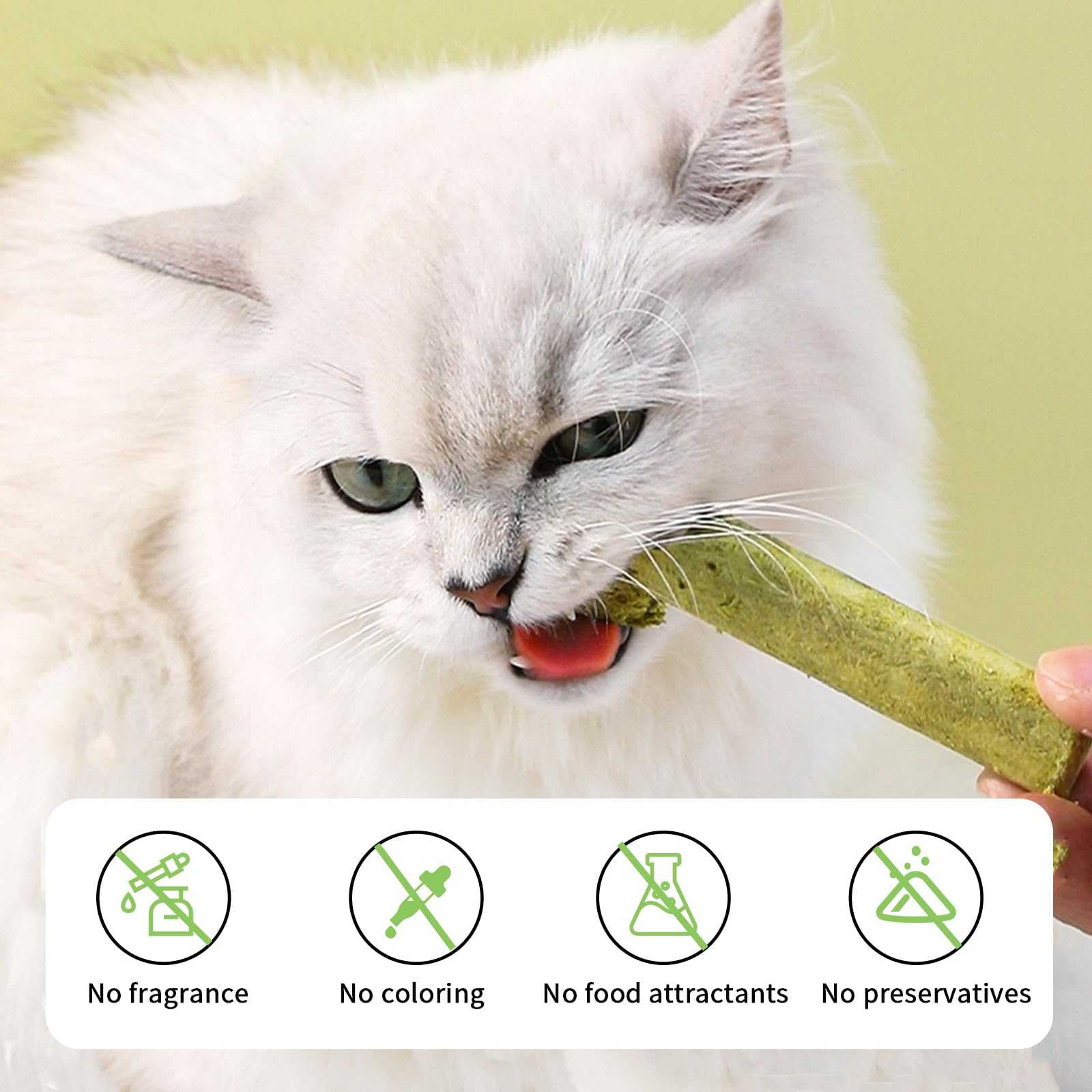 Meowly – Bâtons d’herbe pour chat – Nutrition: riches en folates pour le bien‑être général.